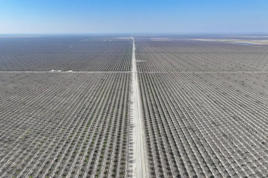 0 Hwy 43, Allensworth, CA 93219 - #3