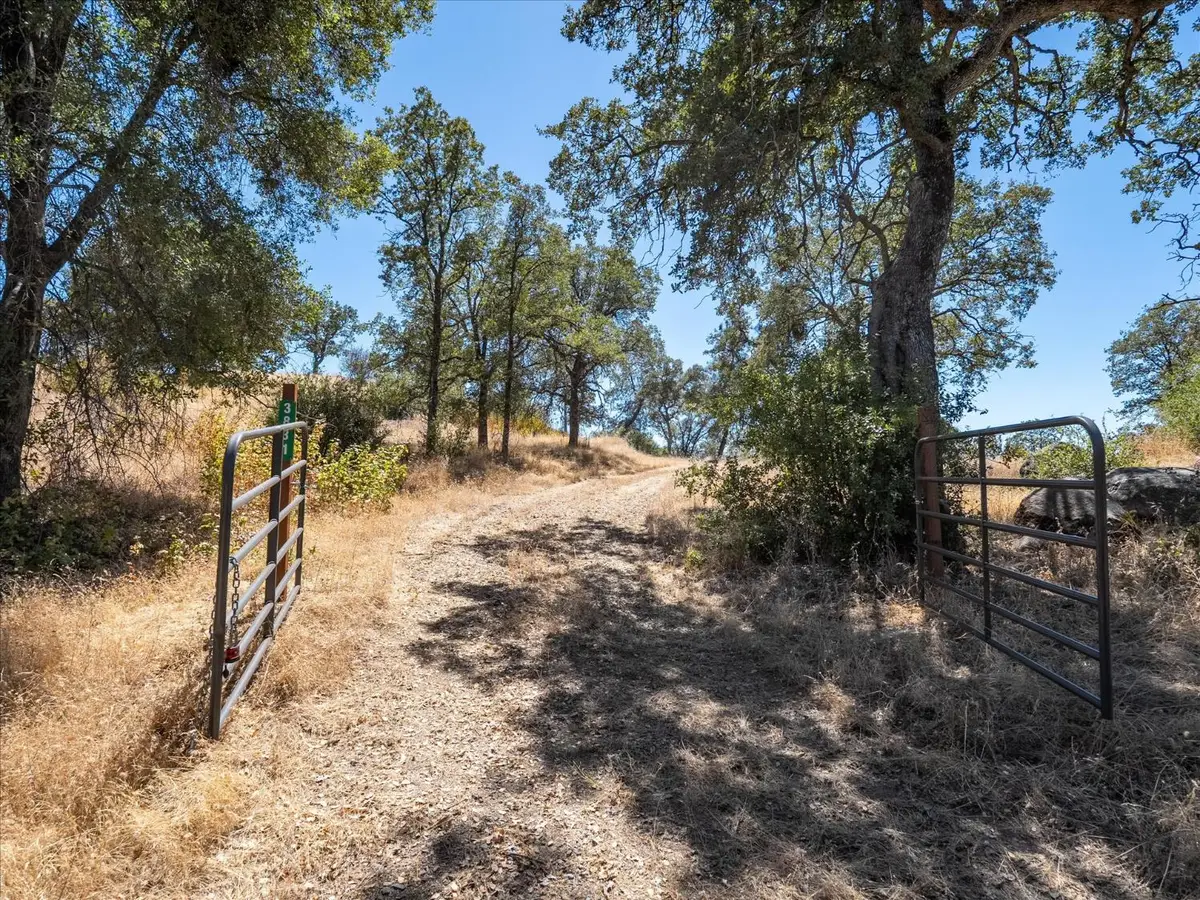 3831 Broncho Hollow Lane, Mariposa, CA 95338 - #1