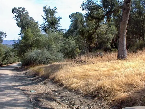 562 Daffodil Lane, Yokuts Valley, CA 93675