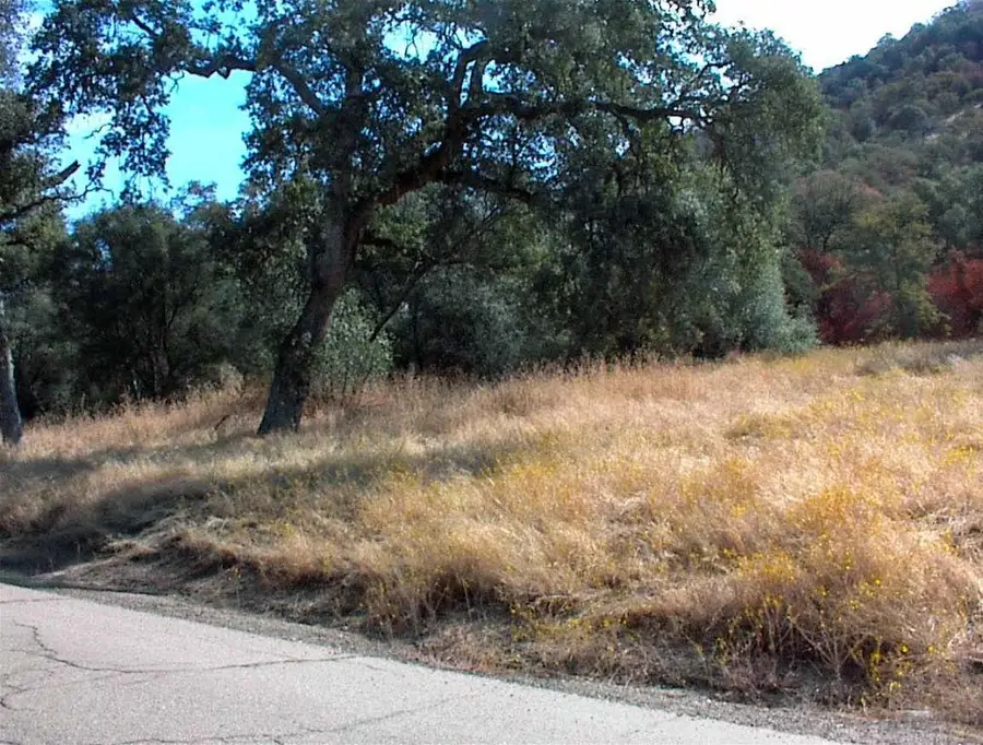 562 Daffodil Lane, Yokuts Valley, CA 93675 - #2