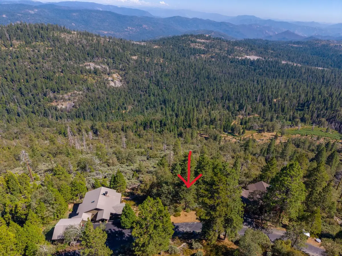42595 Canyon Vista Lane, Shaver Lake, CA 93664 - #1