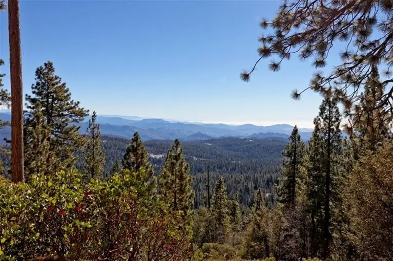 42595 Canyon Vista Lane, Shaver Lake, CA 93664 - #3