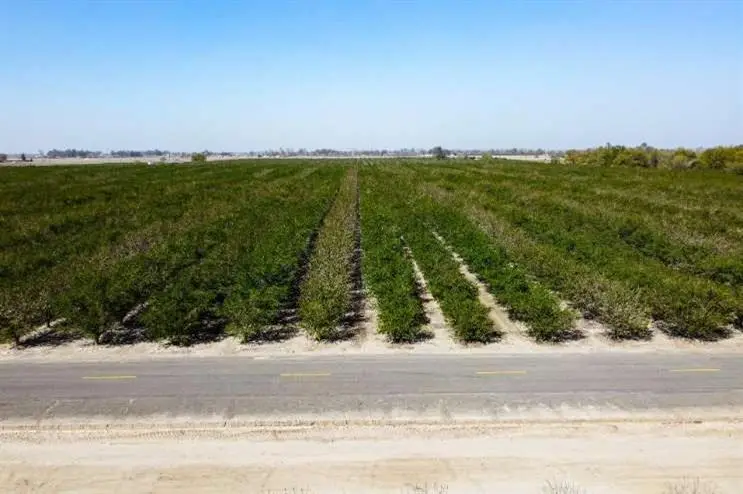 0 Lacey Boulevard, Lemoore, CA 93245 - #2