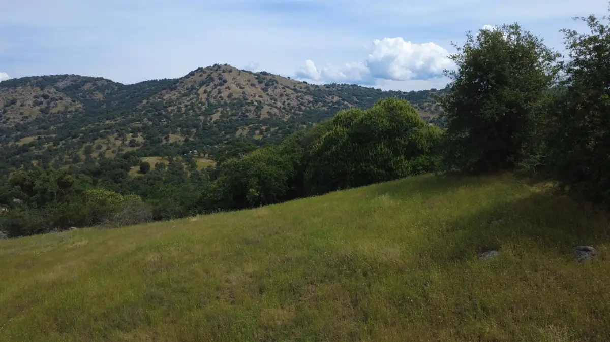 47595 Diablo Lane, Yokuts Valley, CA 93675 - #1
