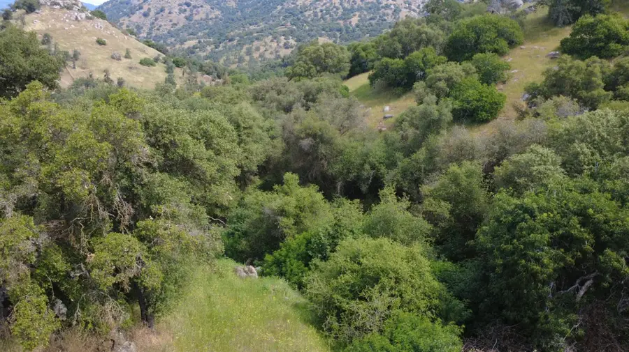 47595 Diablo Lane, Yokuts Valley, CA 93675 - #3