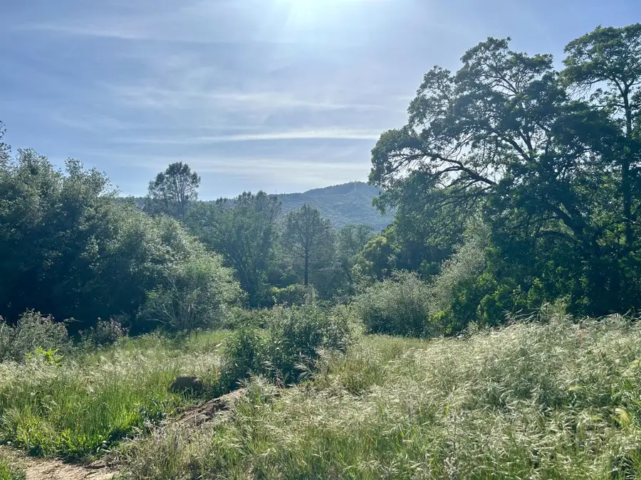 49992 Road 426, #a & #b, Oakhurst, CA 93644 - #3