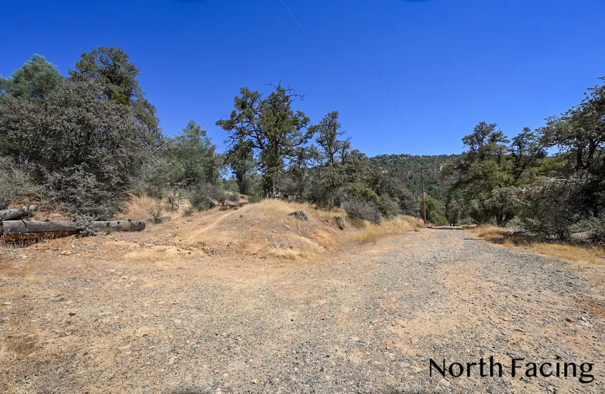 5799 Corey Pines Road, Mariposa, CA 95338 - #1