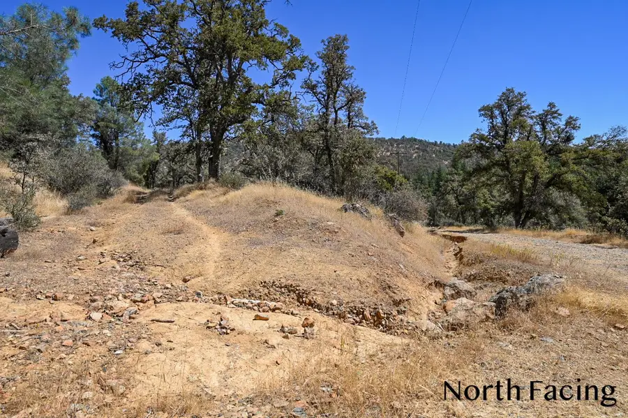 5799 Corey Pines Road, Mariposa, CA 95338 - #3