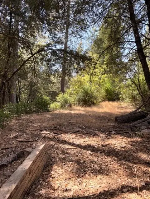 0 Cedar Ridge Circle S, Oakhurst, CA 93644 - #2