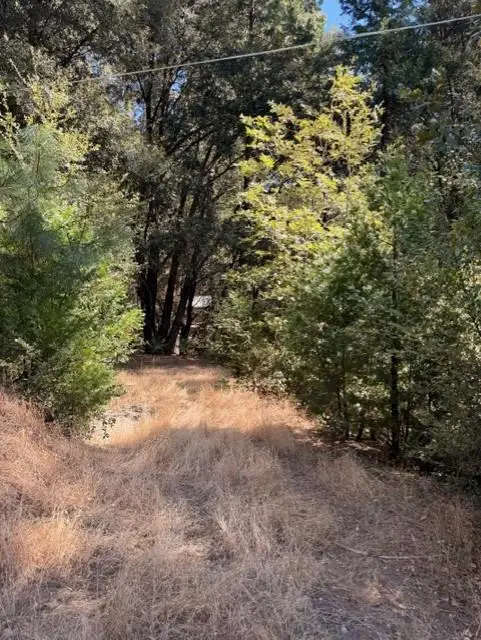 0 Cedar Ridge Circle S, Oakhurst, CA 93644 - #3