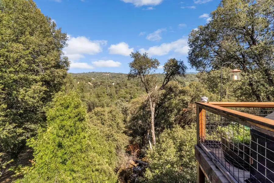 39309 Forest Park Lane, Oakhurst, CA 93644 - #3