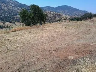 0 Beaver Lane, Squaw Valley, CA 93675 - #3