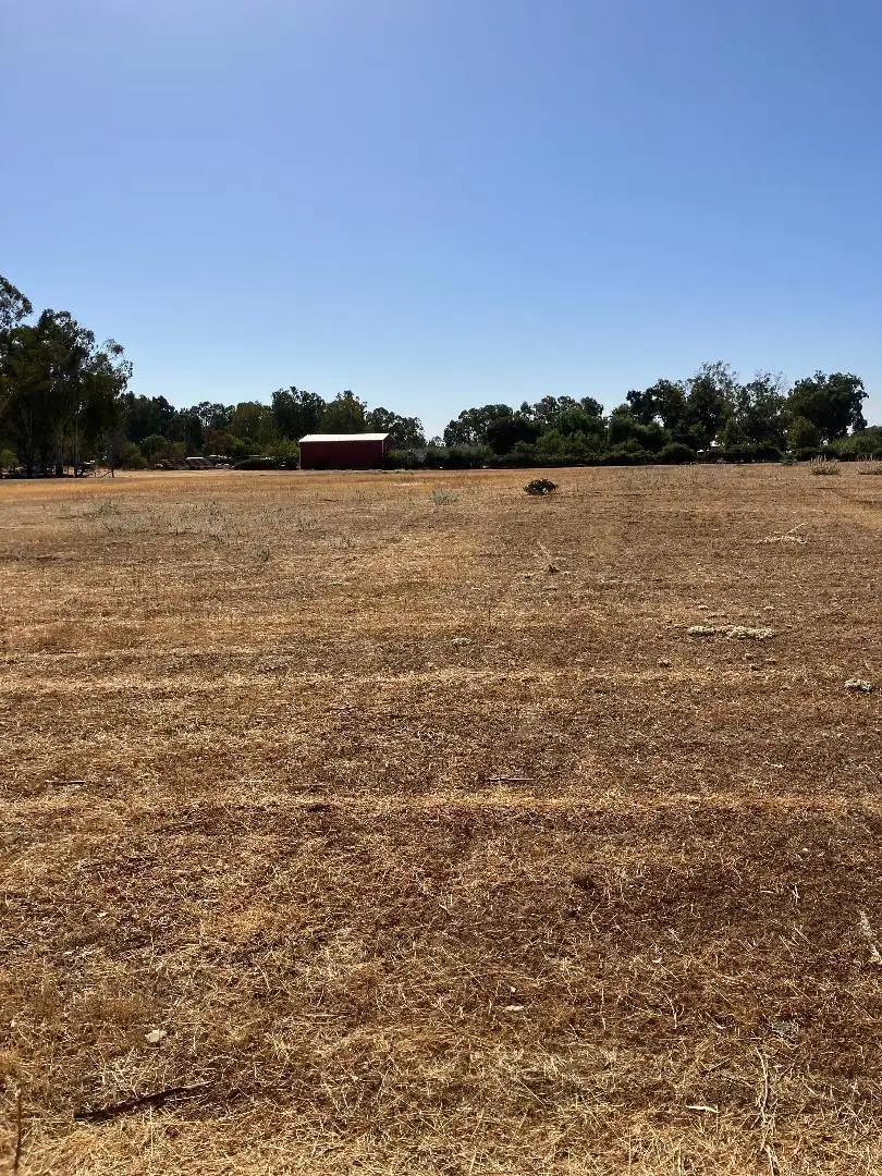 6904 N Highland Avenue, Clovis, CA 93619 - #3