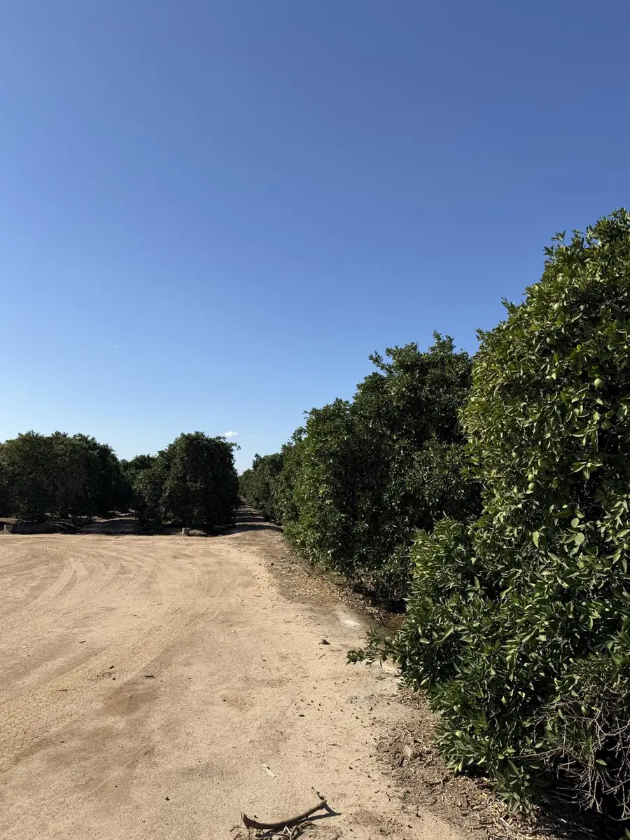 13331 E Belmont Avenue, Sanger, CA 93657 - #3