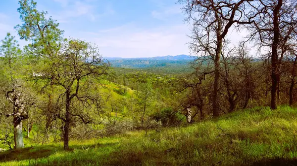 222 Big River Way, Coarsegold, CA 93614