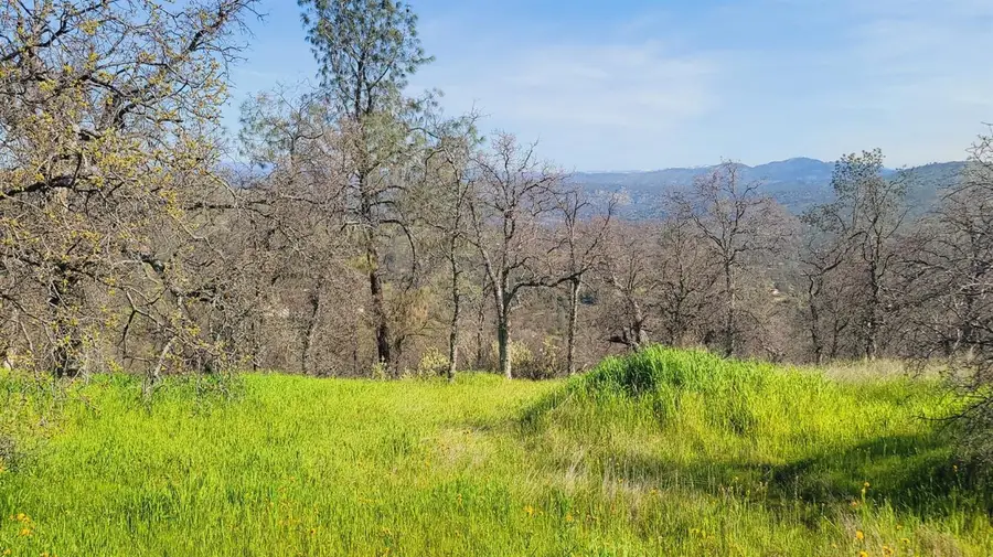 222 Big River Way, Coarsegold, CA 93614 - #2