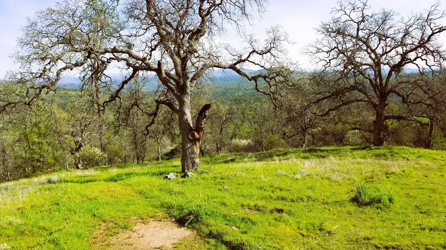 222 Big River Way, Coarsegold, CA 93614 - #3