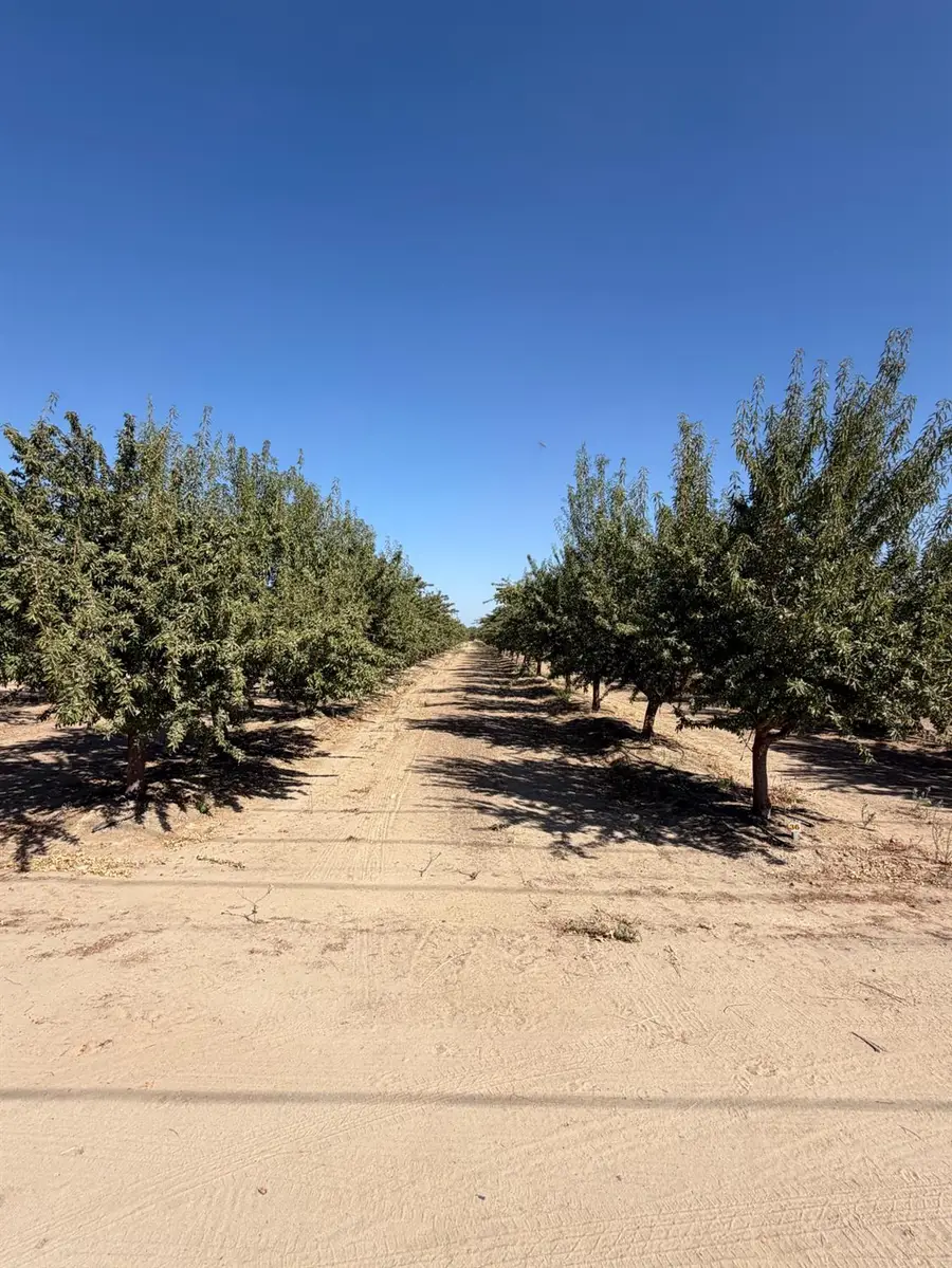 9134 S Leonard, Selma, CA 93662 - #3