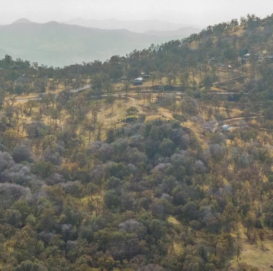 0 Cardinal, Yokuts Valley, CA 93675 - #2