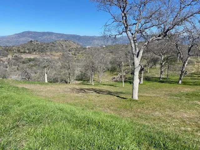 0 Cardinal, Yokuts Valley, CA 93675 - #3