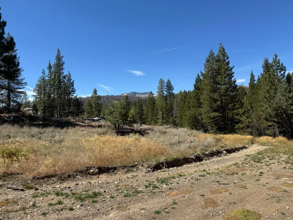 11 Strawberry, North Fork, CA 93643 - #1