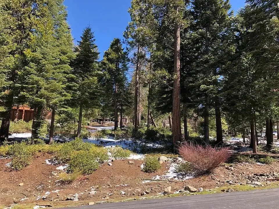 42518 Tourmaline Lane, Shaver Lake, CA 93664 - #1