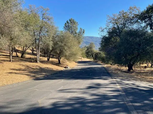 6 Blackberry Trail, North Fork, CA 93643 - #3