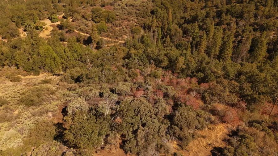 44138 E Kings Canyon Road, Dunlap, CA 93621 - #2