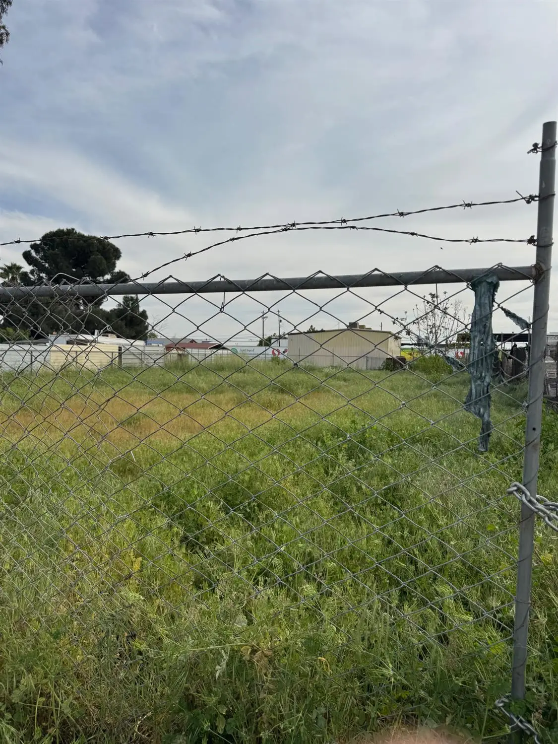 343 W Franklin Avenue, Fresno, CA 93706 - #1