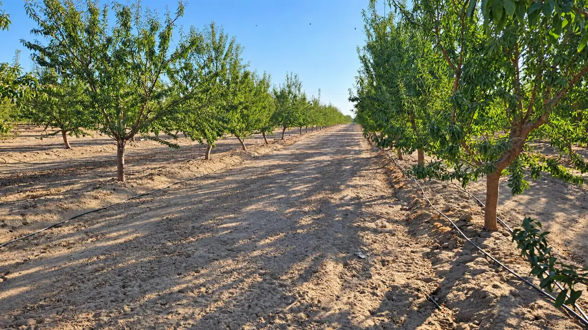 0 S S Mccall Ave S, Selma, CA 93662 - #1