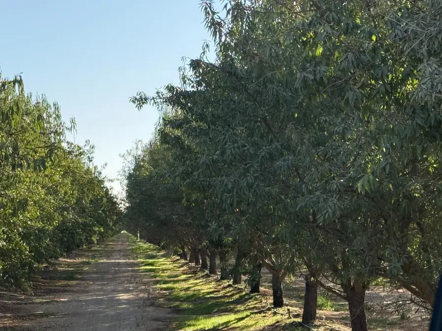 9701 Road 32, Madera, CA 93636 - #3