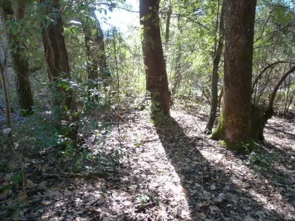 352 Tree Top Lane, Willow Creek, CA 95573