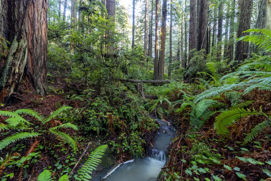 1155 Patricks Point Drive, Trinidad, CA 95570 - #2