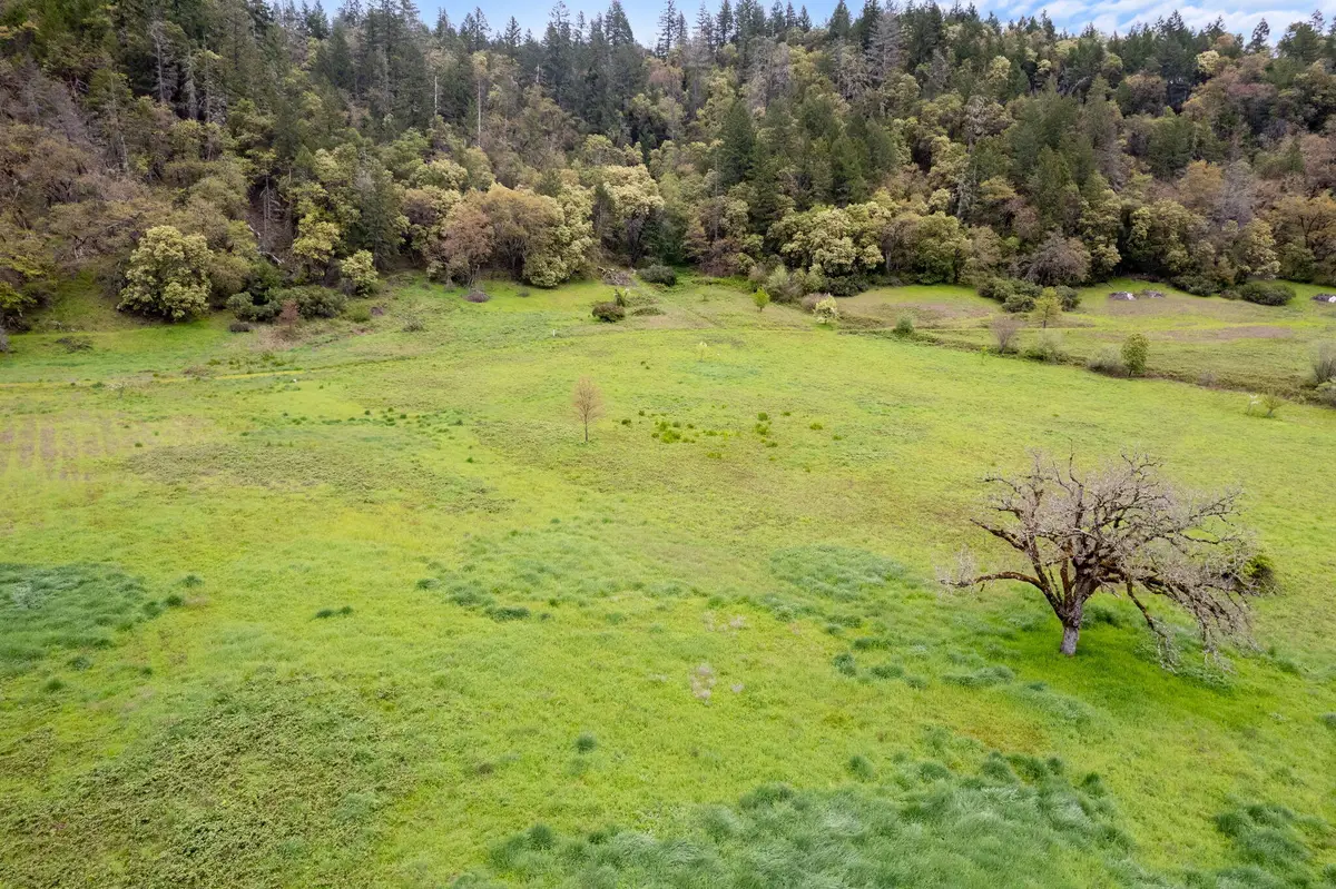 164 Cherry Tree Lane, Salyer, CA 95563 - #1