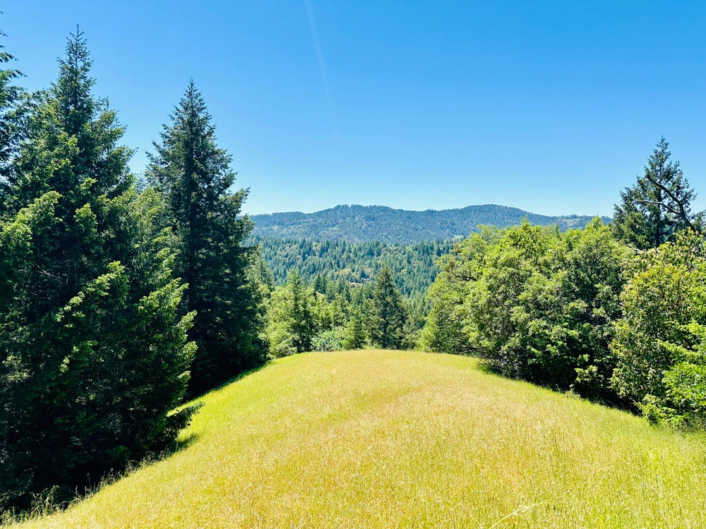 400 Acres Seely Creek Road, Redway, CA 95560 BHGRE