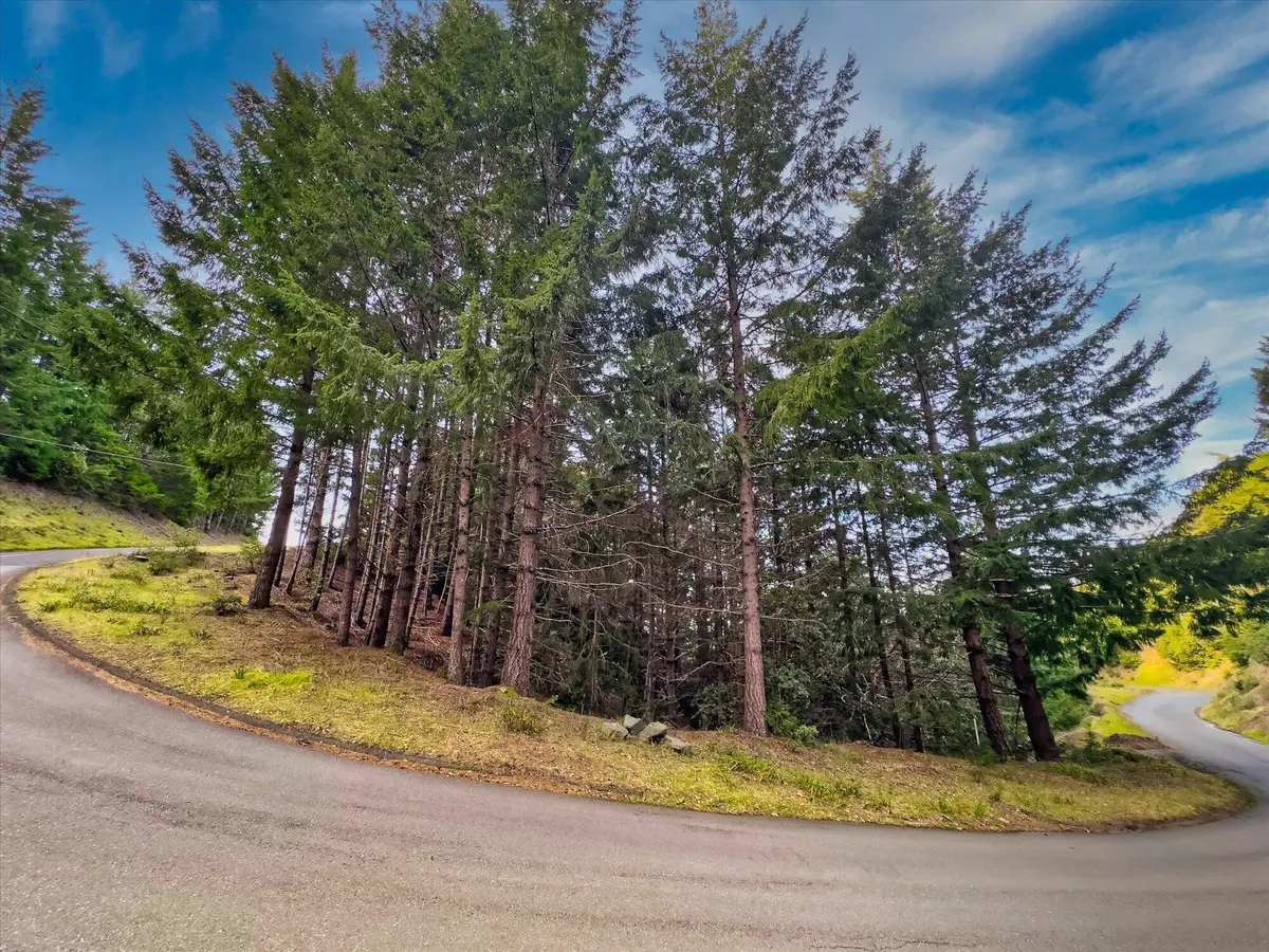 Double Lot 2215 & 2187 Toth Road, Shelter Cove, CA 95589 - Image #1