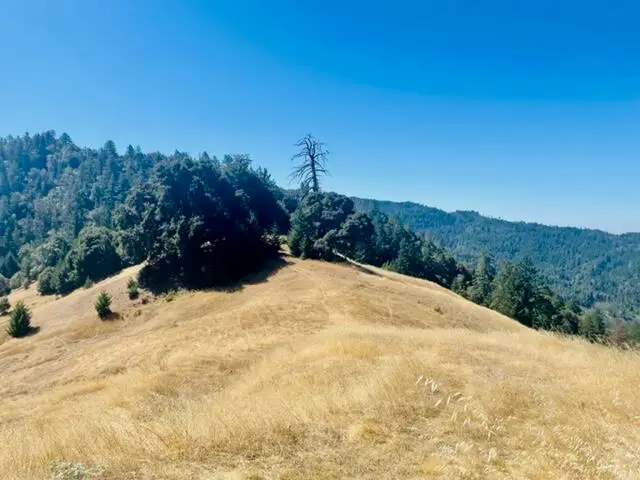 #3
