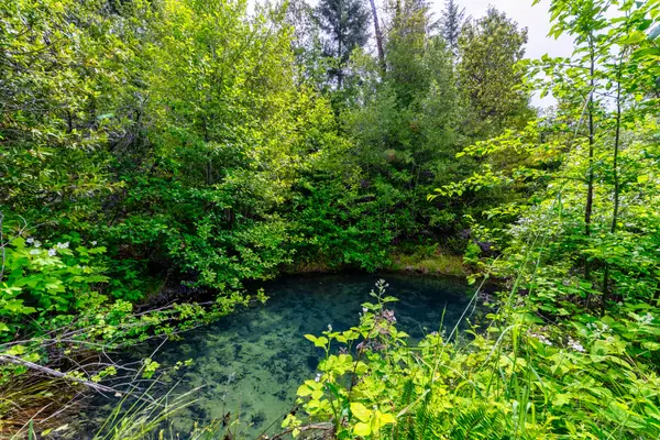 000 Iron Gate Road, Weitchpec, CA 95546