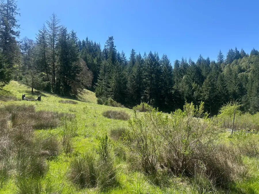 19624 Dyerville Loop Road, Redcrest, CA 95569 - #3