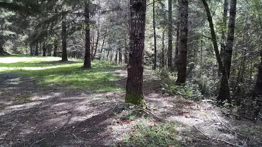 #3