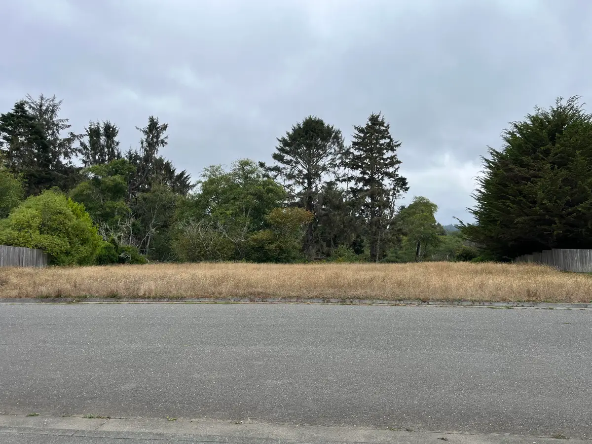 2973 Springer Drive, McKinleyville, CA 95519 - #1