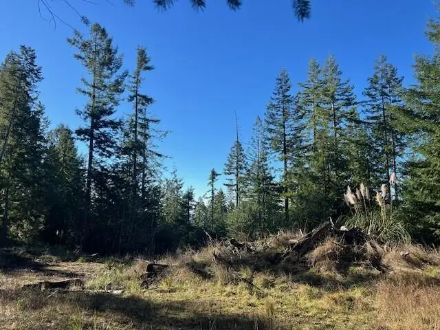 5091 Greenwood Heights Drive, Kneeland, CA 95549 - #3