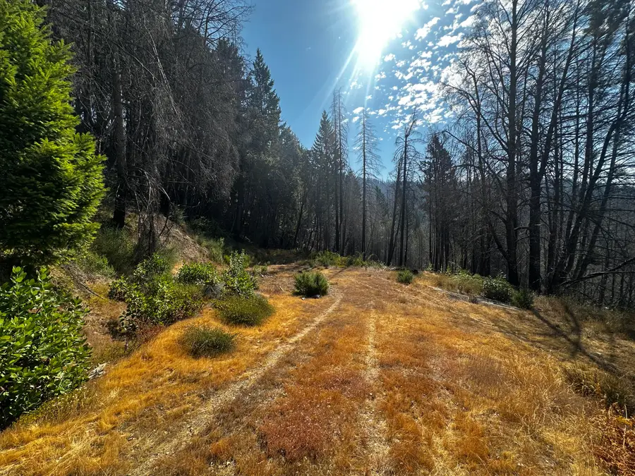 164 7n15 Road, Willow Creek, CA 95573 - Image #2