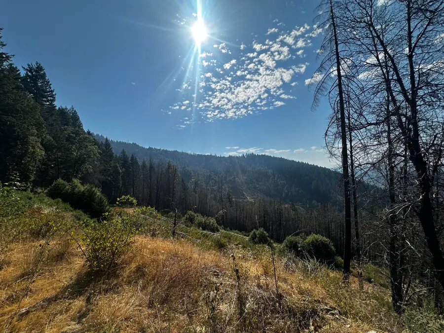 164 7n15 Road, Willow Creek, CA 95573 - Image #3