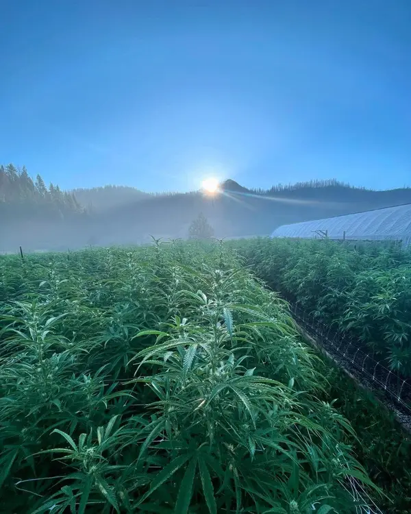 1760 W Hettenshaw Road, Zenia, CA 95595