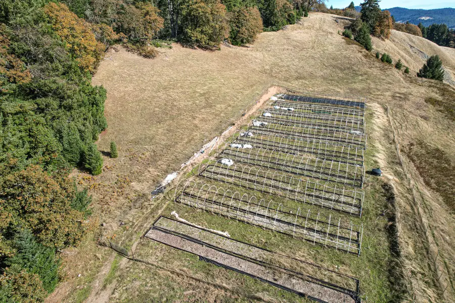 703 Wool Mountain Road, Zenia, CA 95595 - Image #3