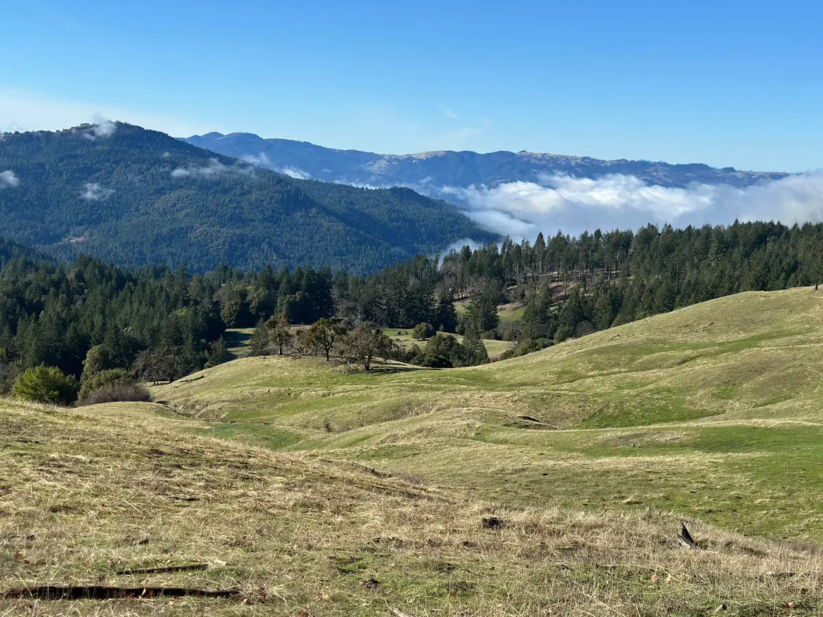 751 Lassic's Lookout Road, Zenia, CA 95595 - Image #1