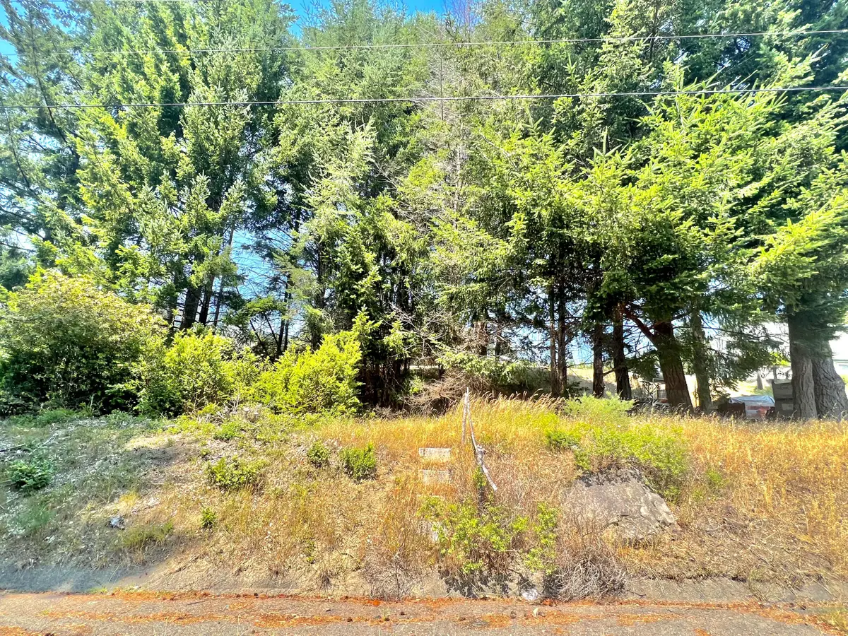 63 Spring Road, Shelter Cove, CA 95589 - Image #1