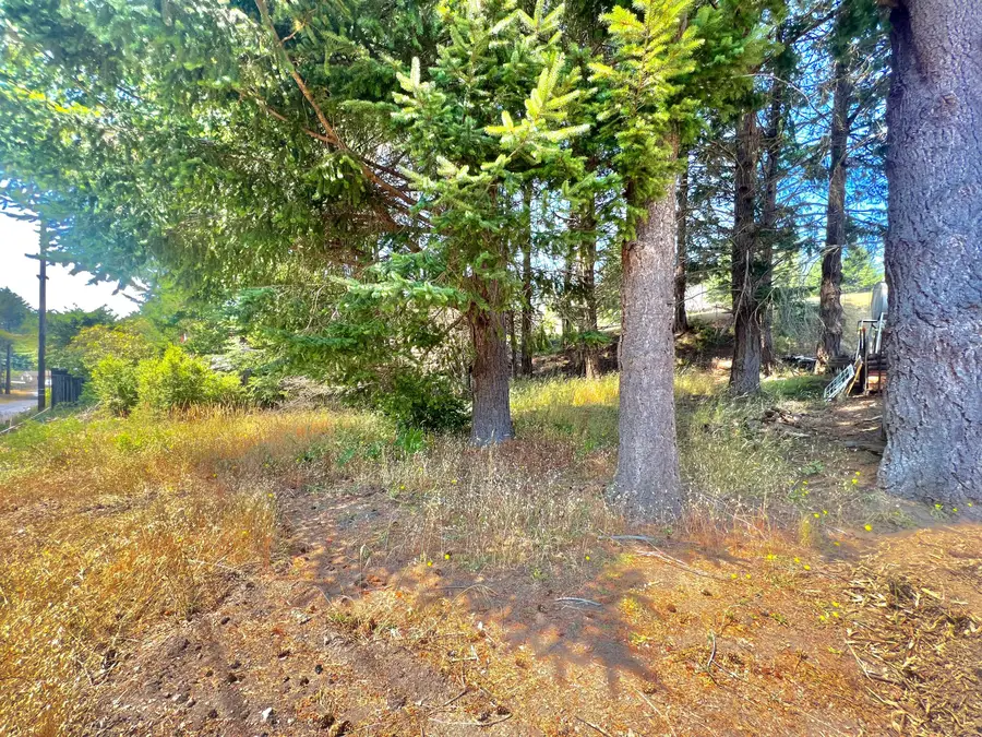 63 Spring Road, Shelter Cove, CA 95589 - Image #2