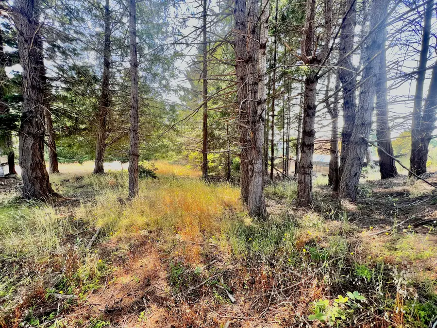 63 Spring Road, Shelter Cove, CA 95589 - Image #3